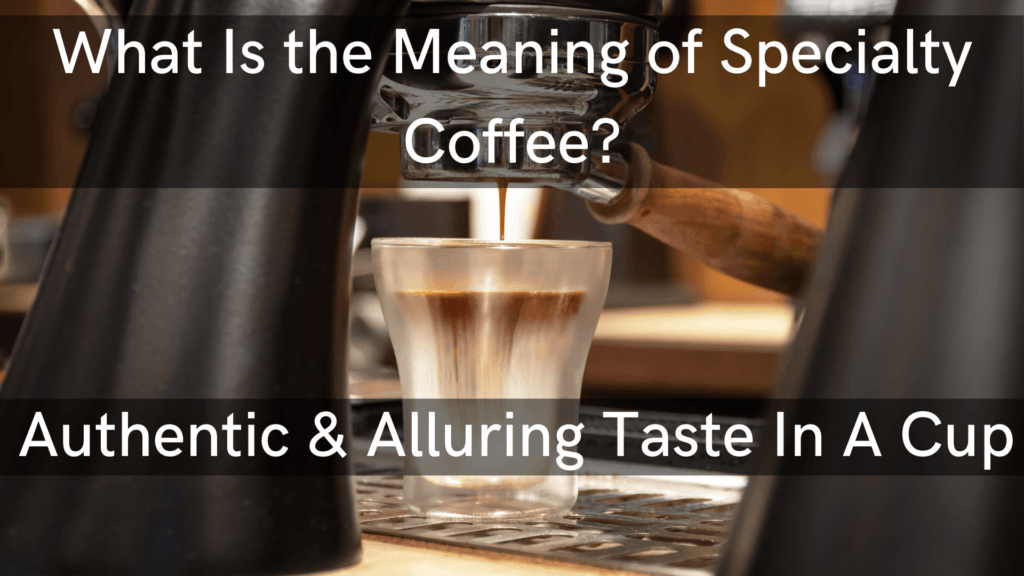 What Is the Meaning of Specialty Coffee? Authentic & Alluring Taste In A Cup