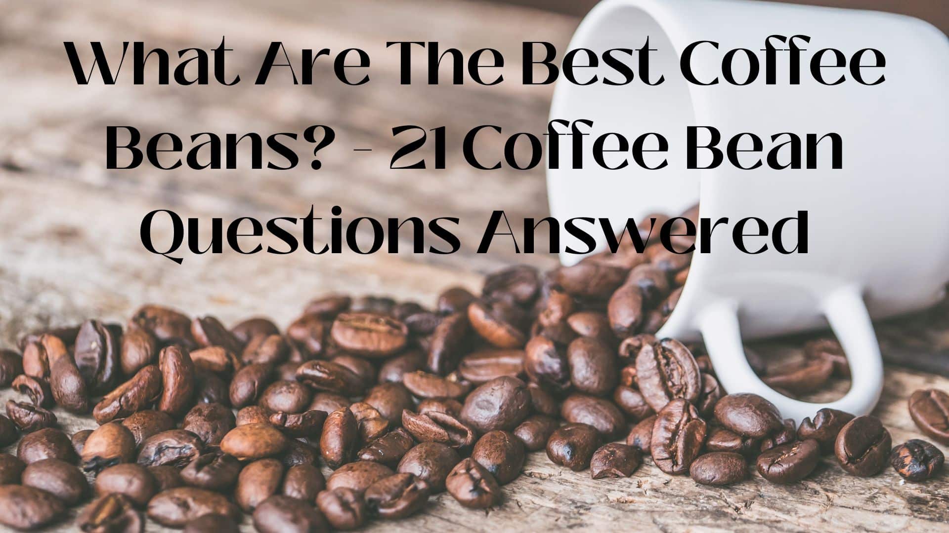 what-are-the-best-coffee-beans-21-coffee-beans-questions-answered