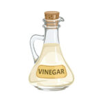 White vinegar in glass bottle isolated on white background. Vector cartoon flat illustration.