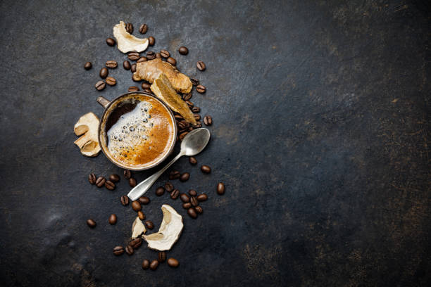 Mushroom Chaga Coffee Superfood Trend-dry and fresh mushrooms and coffee beans on dark background. Copy space, top view. Concept of trend modern food industry.