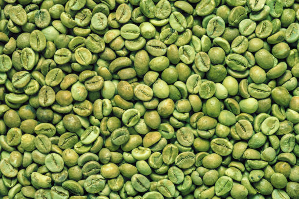 Pile of green robusta coffee beans. Top view background or texture.