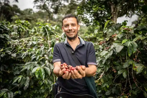 Portrait of a mature man showing the coffee crop of whole bean colombian coffee in his hands