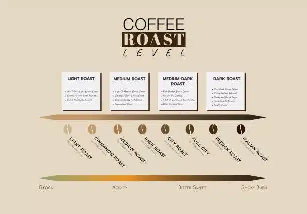 Level of coffee roasting. Level of Coffee Acidity and taste with roasting temperature and flavour note. Illustration graphic